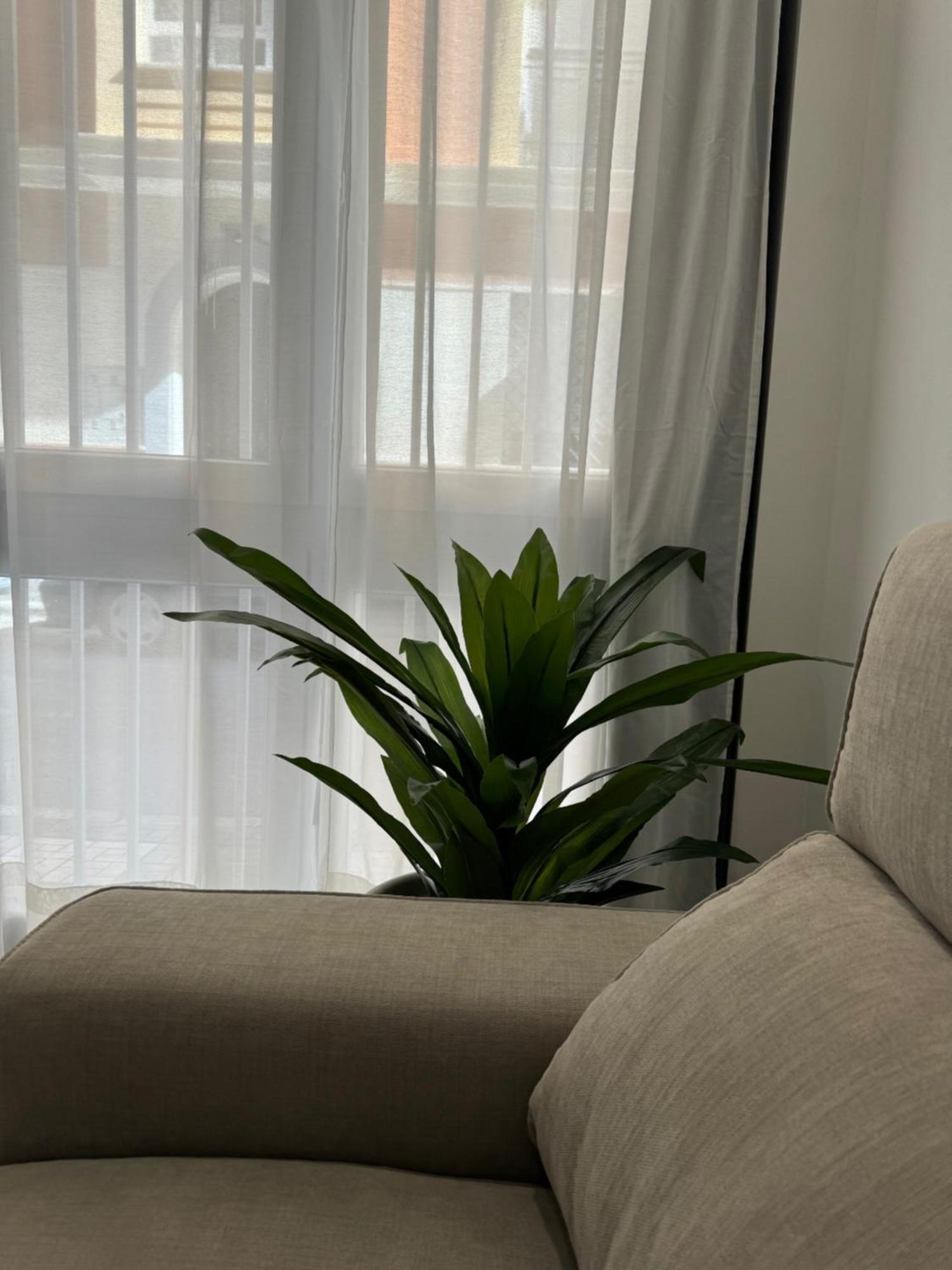 Alderete Suites Málaga Eksteriør billede